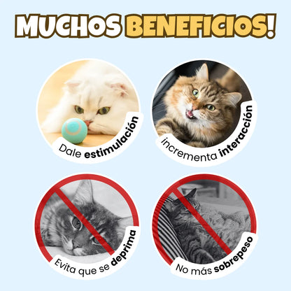 HappyBall® Pelota automatica para mascota🐾