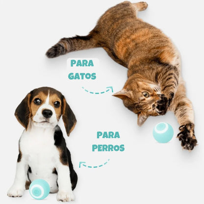 HappyBall® Pelota automatica para mascota🐾