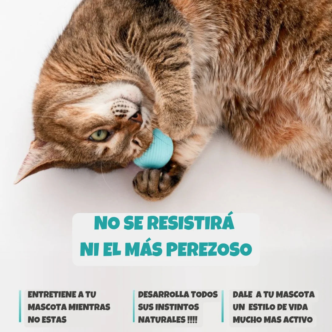 HappyBall® Pelota automatica para mascota🐾