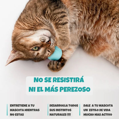 HappyBall® Pelota automatica para mascota🐾